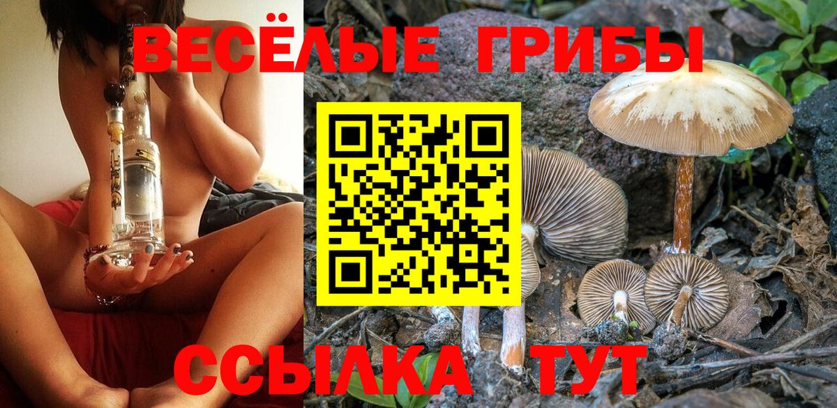 Галлюциногенные грибы прущие грибы Белово